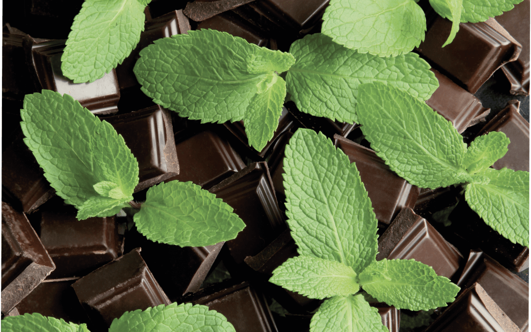 Menthe verte copeaux de chocolat