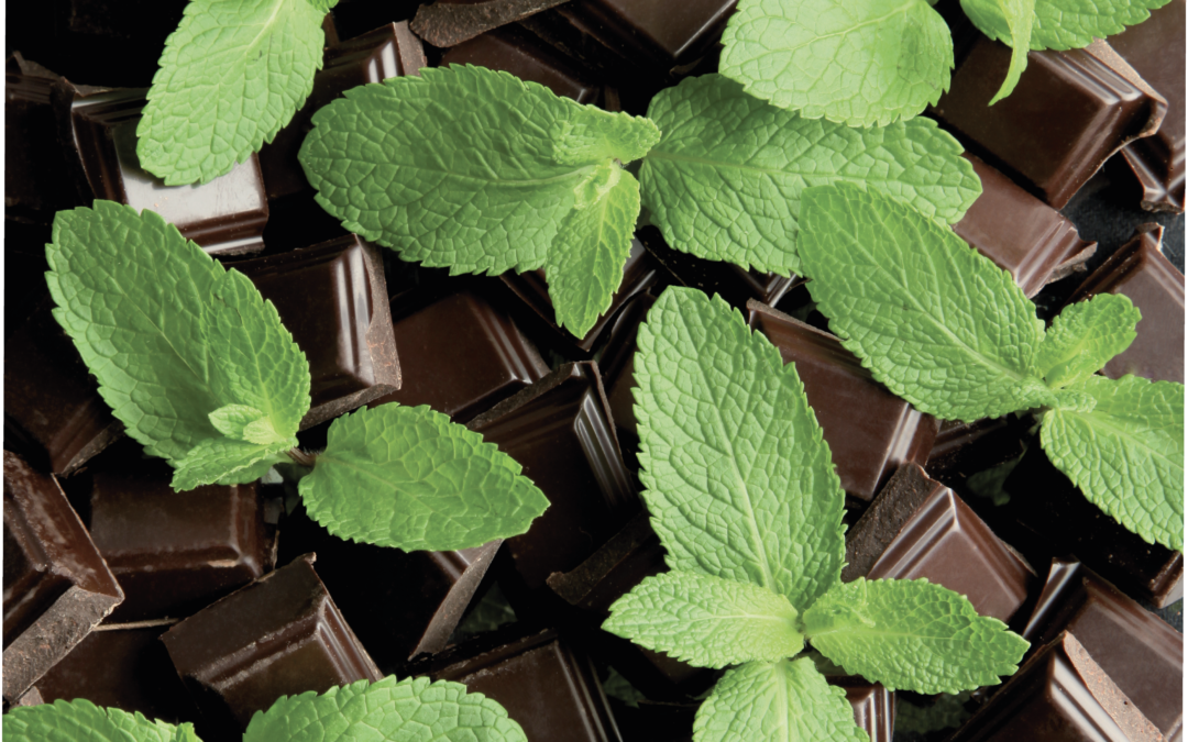 Spearmint and chocolate savings