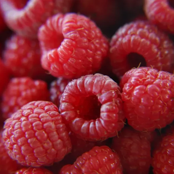 Raspberry