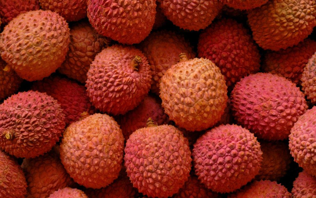 Litchi