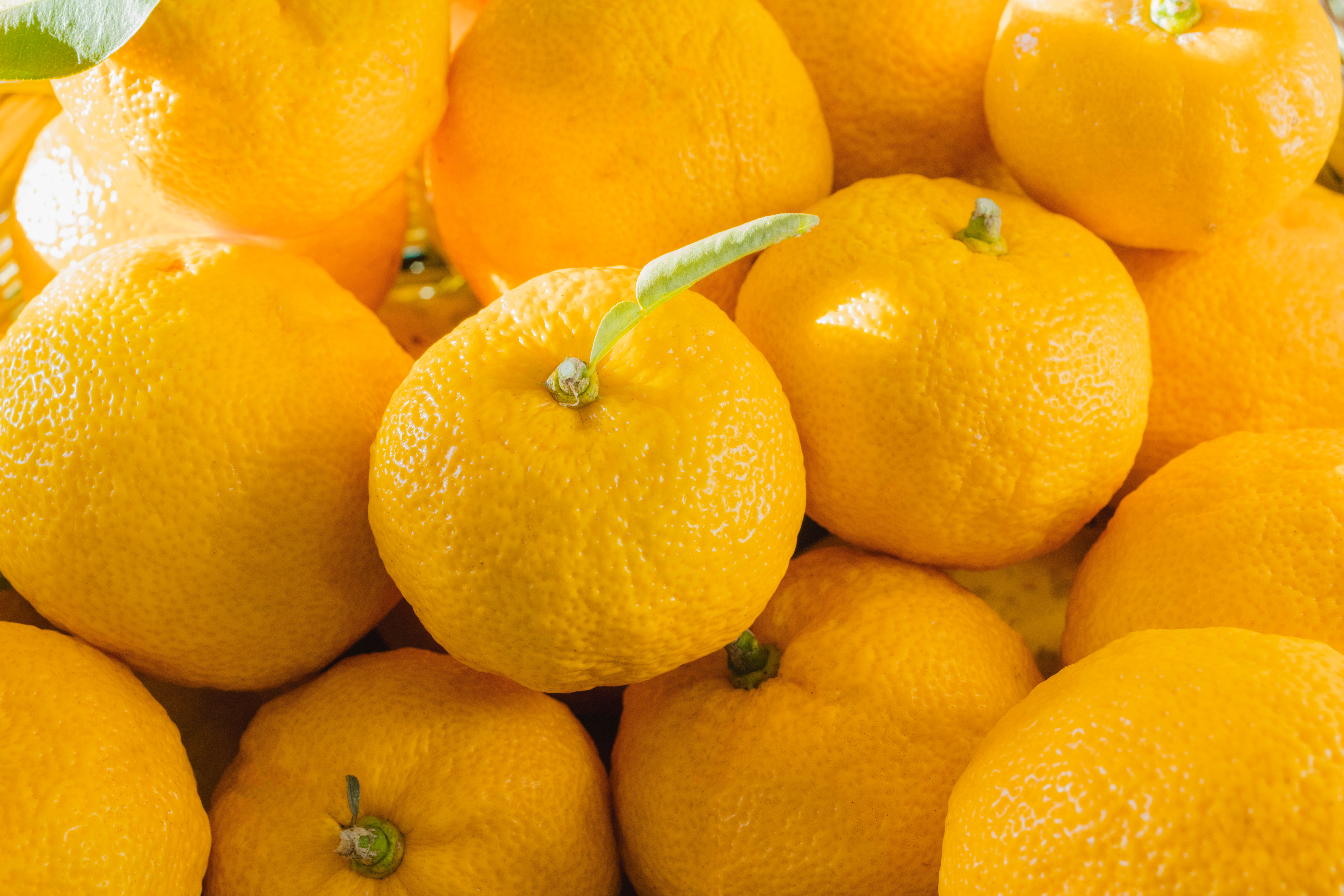 Yuzu