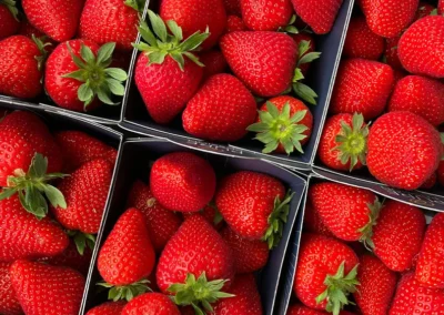 Fraise-ingrédient