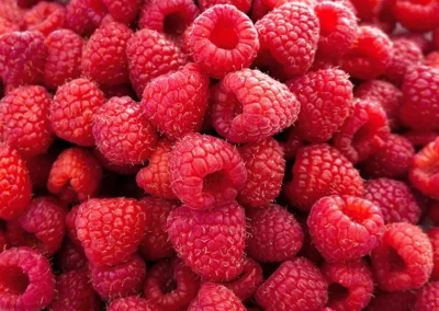 Framboise-ingrédient