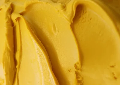 Mangue-FruitExo-texture