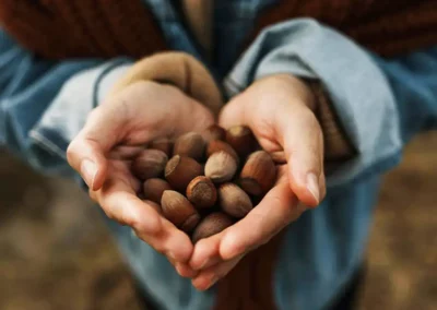 Noisette-ingrédient