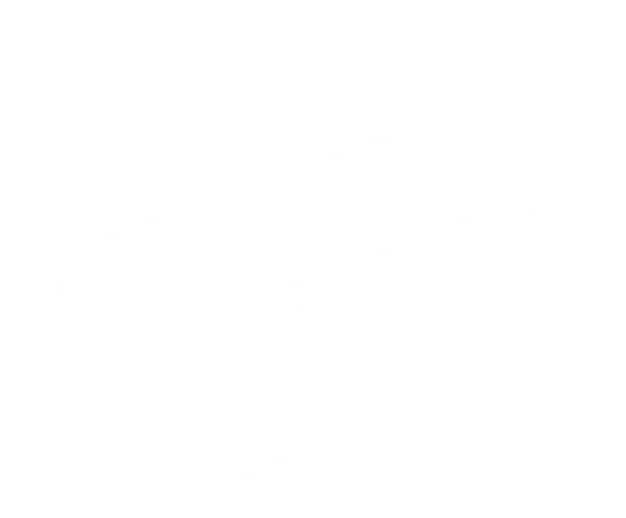 5L