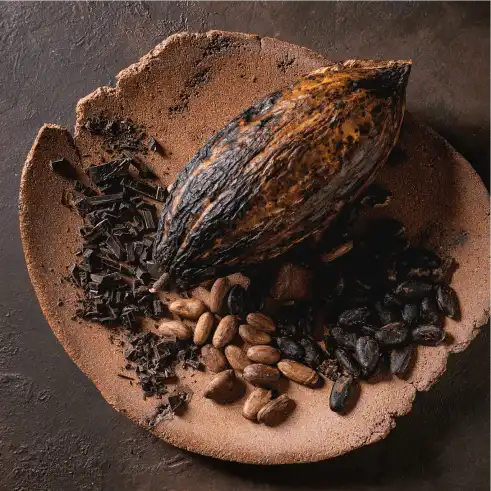 Cacao