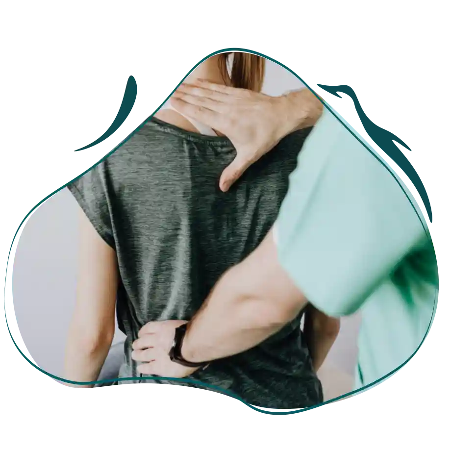 ostehopate-langelys ostehopate-langelys